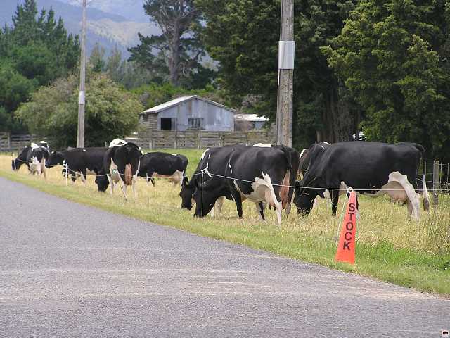 NZ leden-unor 2006 013.jpg
